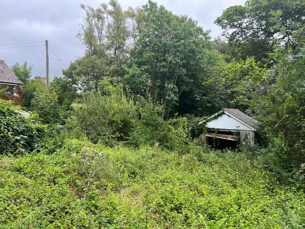 Lot: 108 - COTTAGE FOR UPDATING WITH DEVELOPMENT POTENTIAL - Main garden area and detached garage